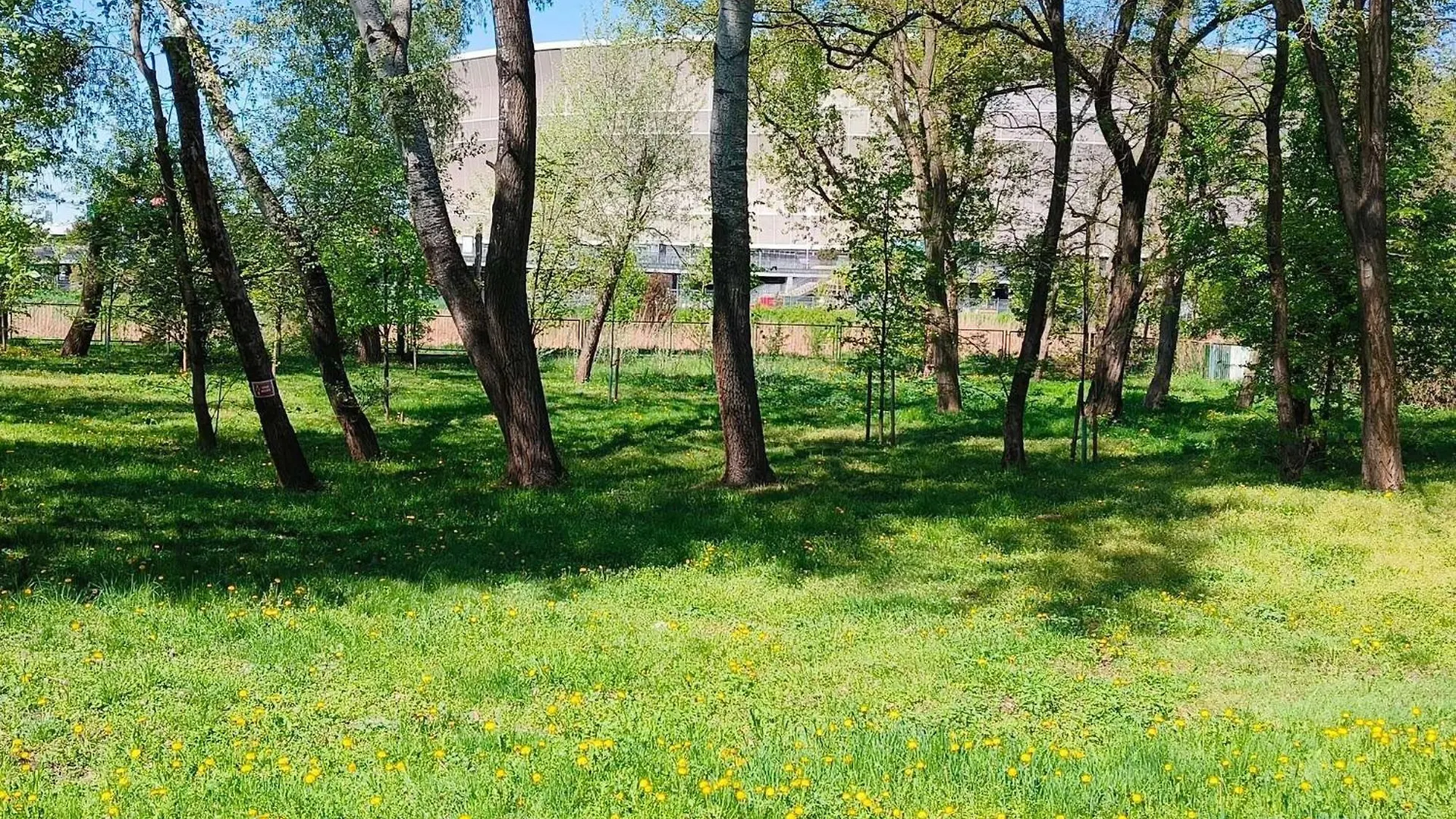 ibis budget Wrocław Stadion Hotel